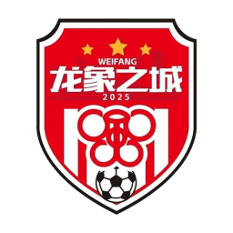 菏澤隊(duì)