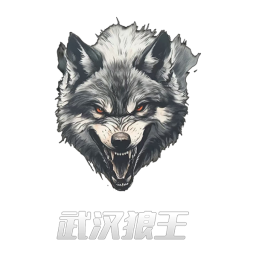 武漢斑馬
